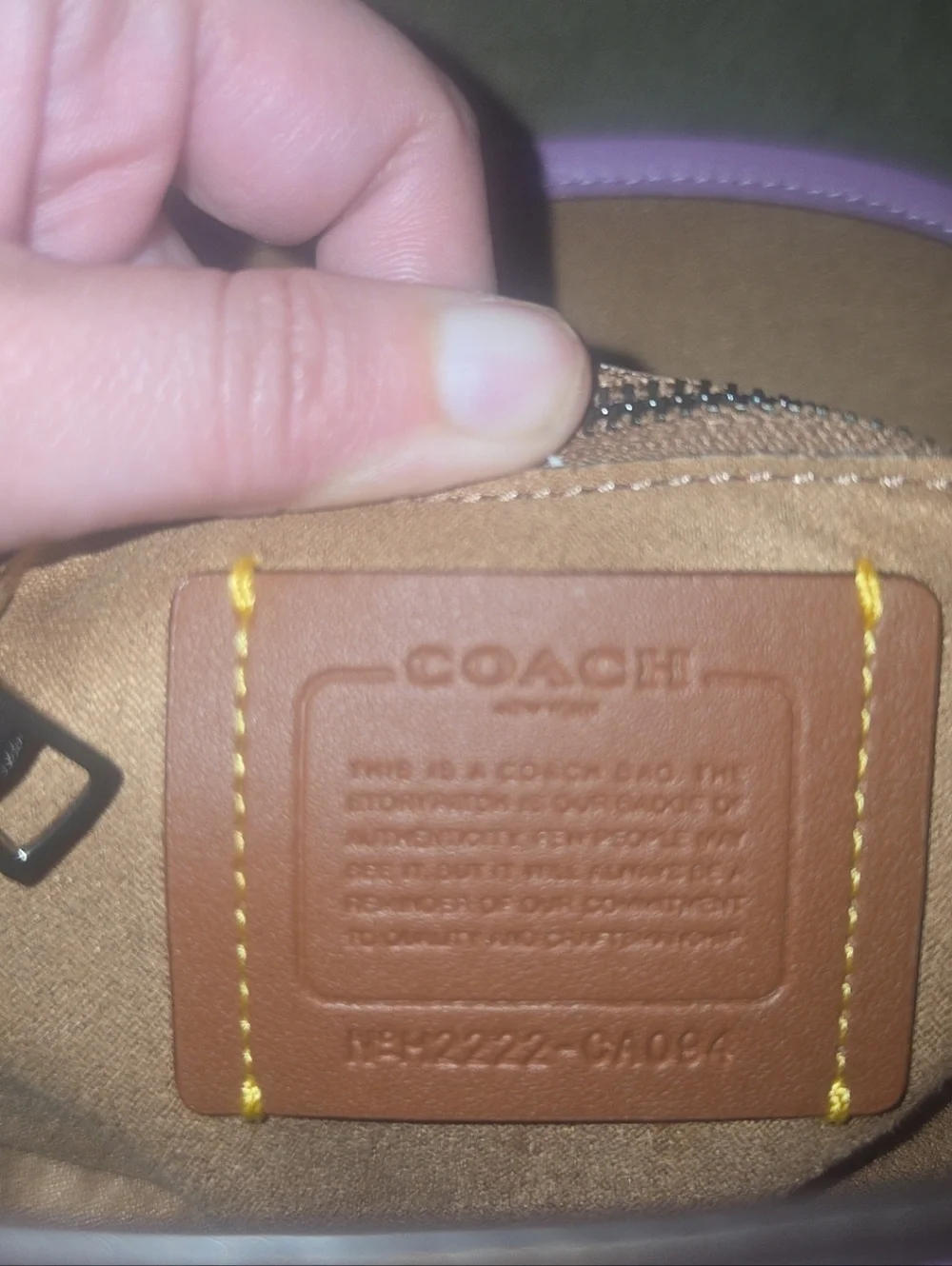 Lavender Coach Willow Pebbled Leather Crossbody Bag - Picture 8 of 8